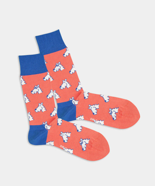 dilly socks Notre chaussettes: Cool Dog