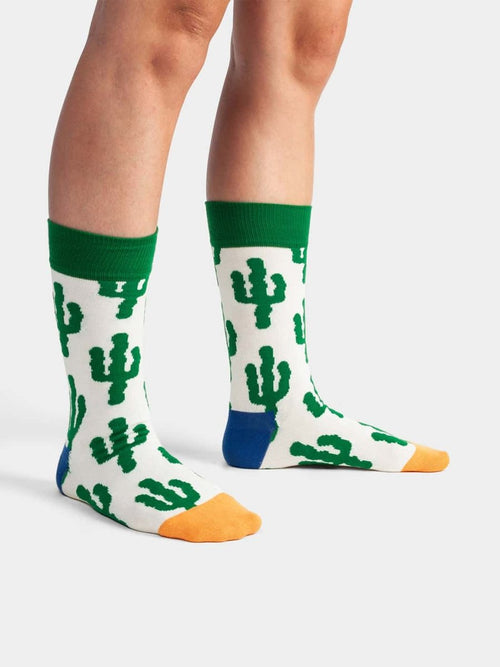 Dilly Socks Notre Chaussettes: Desert Plants