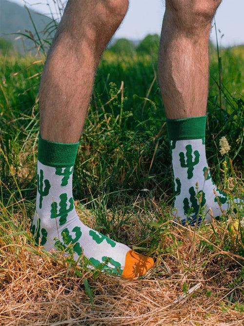 Dilly Socks Notre Chaussettes: Desert Plants