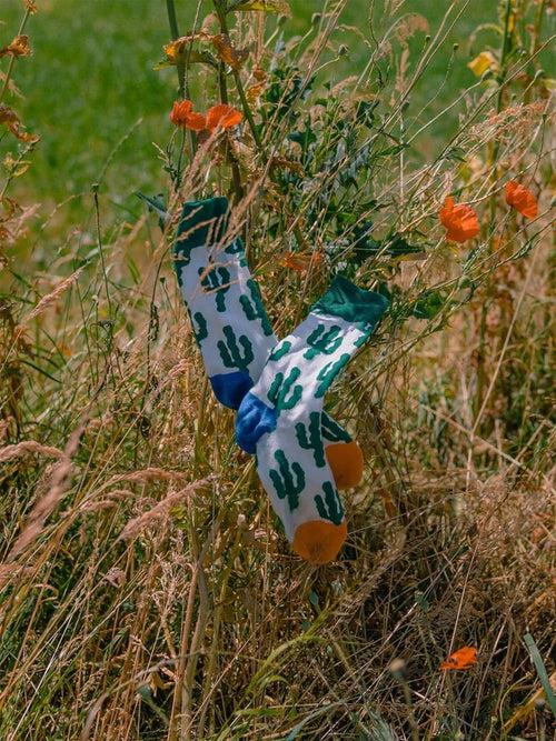Dilly Socks Notre Chaussettes: Desert Plants