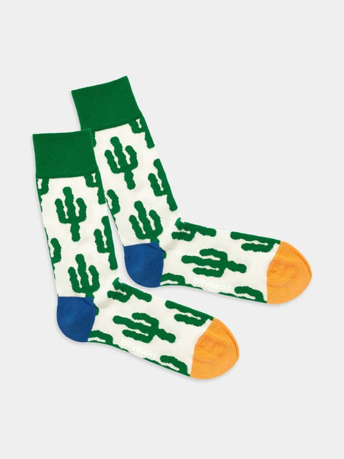 dilly socks Notre chaussettes: Desert Plants