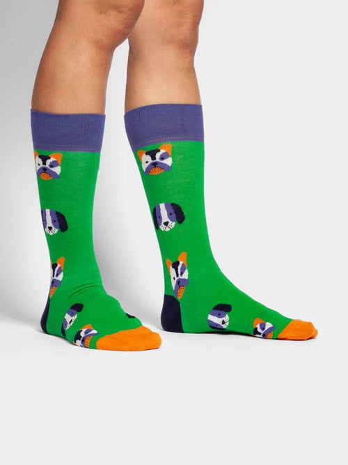 Dilly Socks Notre Chaussettes: Dog Portraits