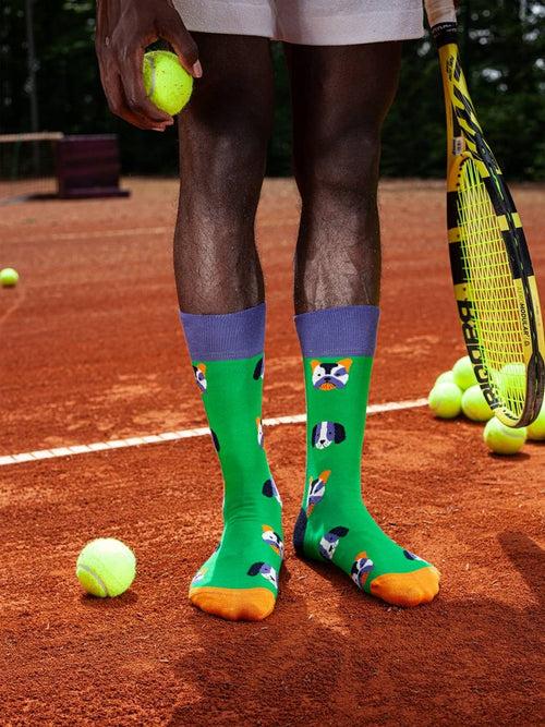 Dilly Socks Notre Chaussettes: Dog Portraits