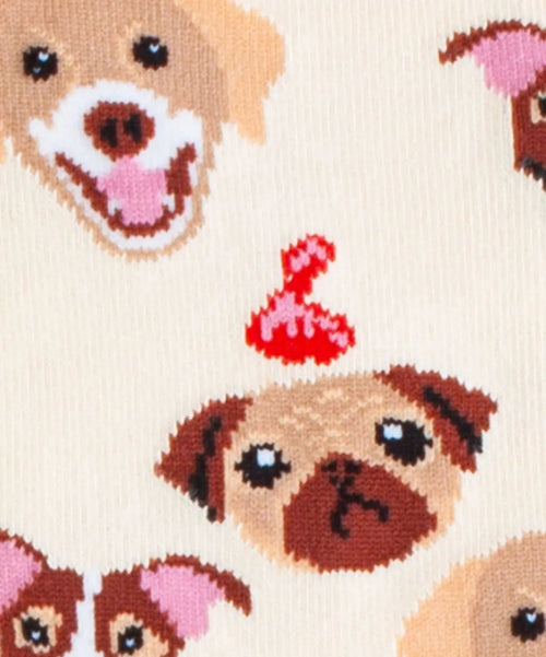 Dilly Socks Notre Chaussettes: Dogs Life