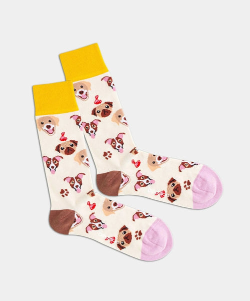 dilly socks Notre chaussettes: Dogs Life