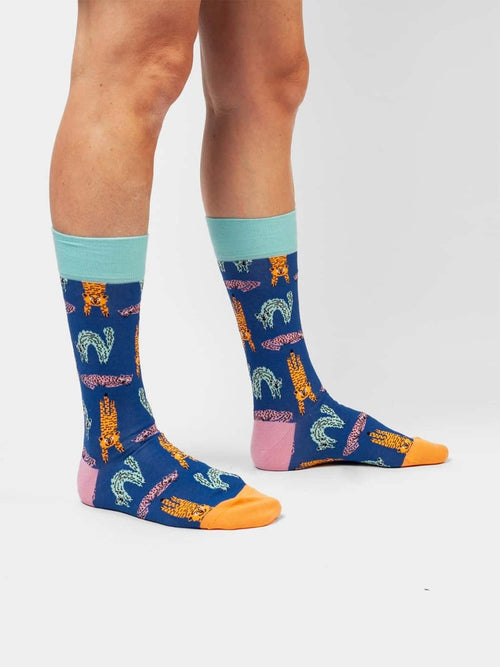 Dilly Socks Notre Chaussettes: Fight Like A Cat