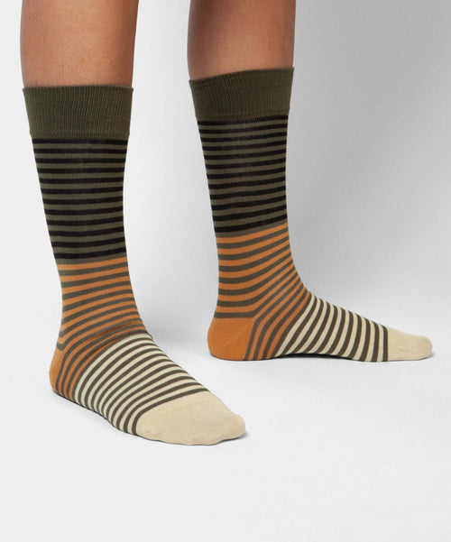 Dilly Socks Notre Chaussettes: Foresty Stripes