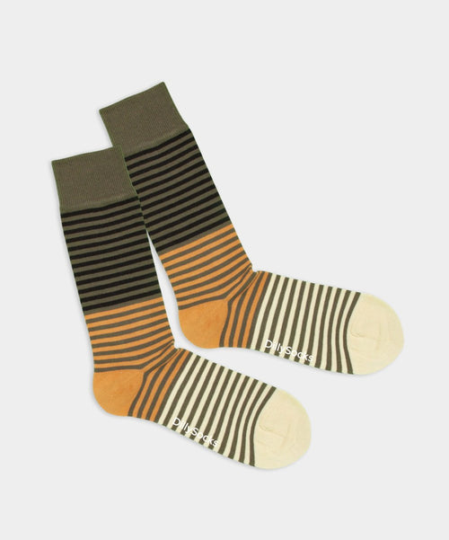 dilly socks Notre chaussettes: Foresty Stripes