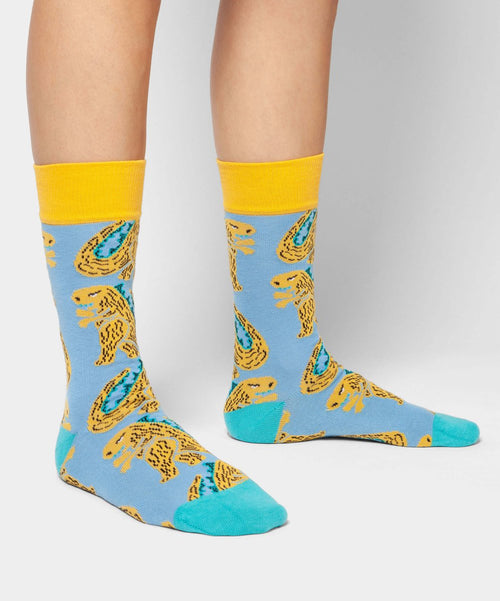 Dilly Socks Notre Chaussettes: Friendly Gozilla