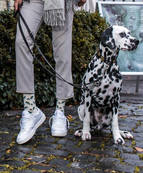 Dilly Socks Notre Chaussettes: Go Nuts