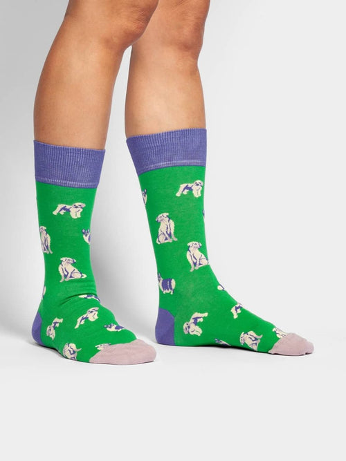 Dilly Socks Notre Chaussettes: Good Boys