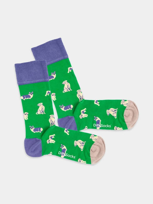 dilly socks Notre Chaussettes: Good Boys