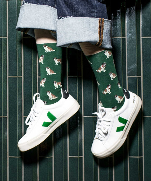 Dilly Socks Notre Chaussettes: Goose Barry
