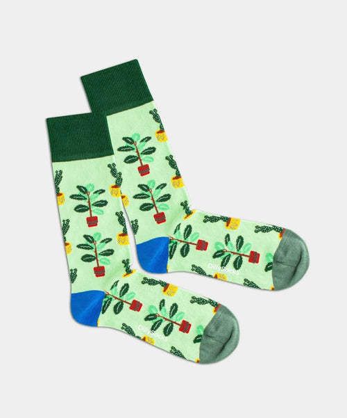 dilly socks Notre chaussettes: Grass Plants