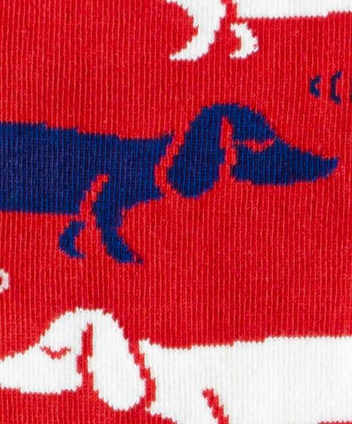 Dilly Socks Notre Chaussettes: Hot Dog
