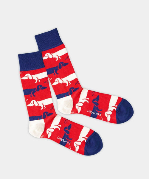 dilly socks Notre chaussettes: Hot Dog