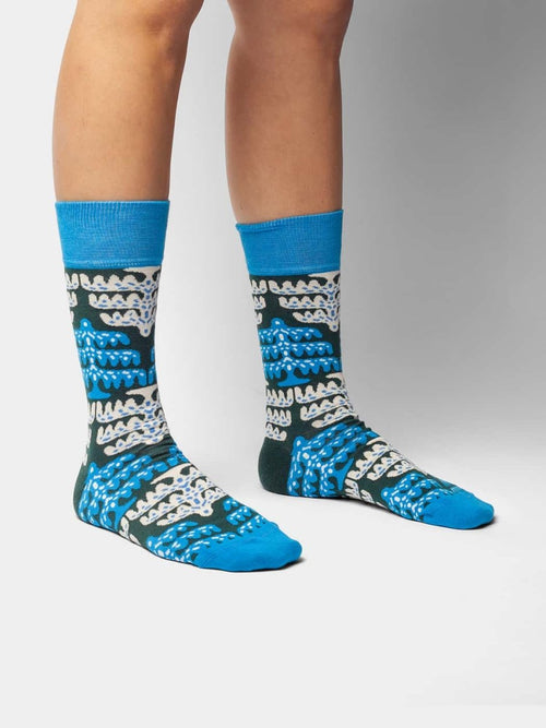Dilly Socks Notre Chaussettes: Icy Pine