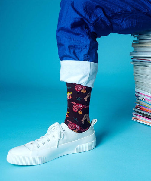 Dilly Socks Notre Chaussettes: Jolly Seal