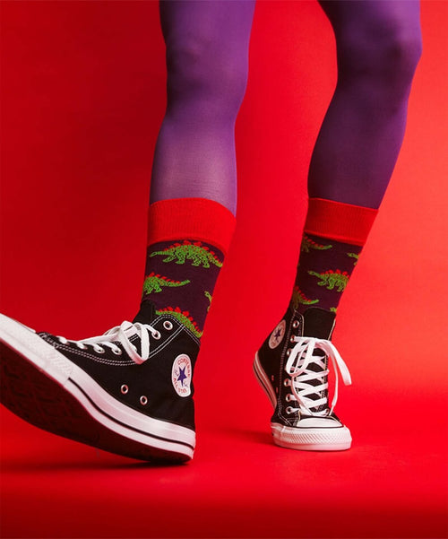 Dilly Socks Notre Chaussettes: Jurassic Dino