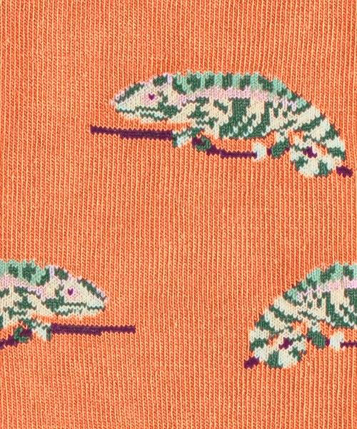 Dilly Socks Notre Chaussettes: Karmeleon