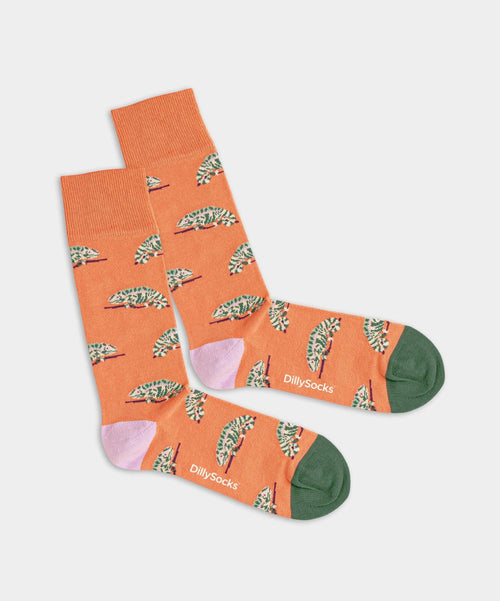 dilly socks Notre chaussettes: Karmeleon