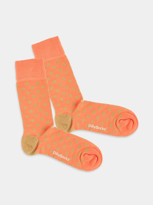 dilly socks Notre Chaussettes: Laid Back Dots