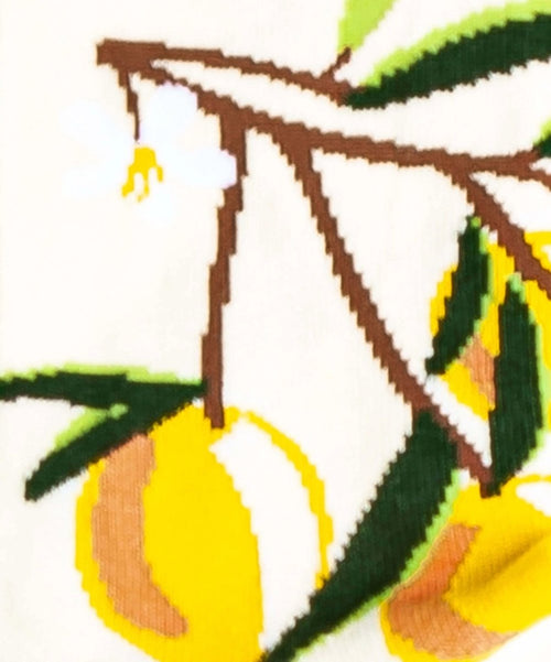 Dilly Socks Notre Chaussettes: Lemon Twig