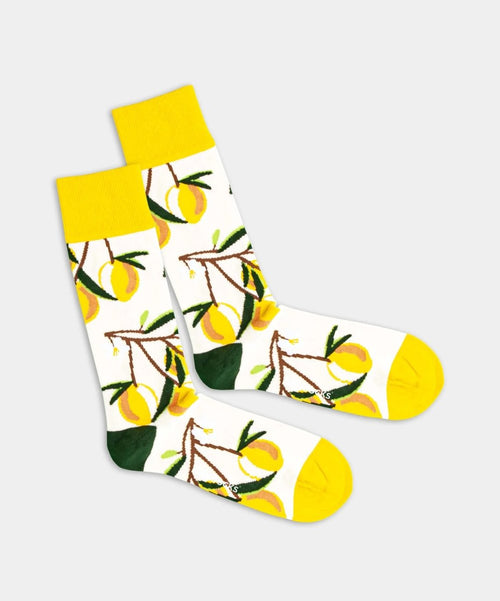 dilly socks Notre chaussettes: Lemon Twig