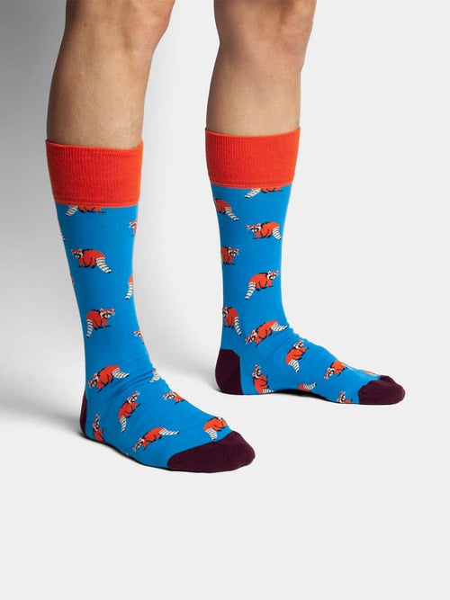 Dilly Socks Notre Chaussettes: Look Racoon