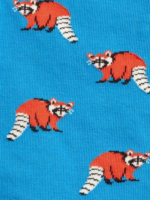 Dilly Socks Notre Chaussettes: Look Racoon