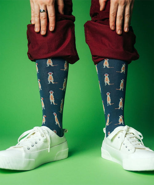 Dilly Socks Notre Chaussettes: Meerkat