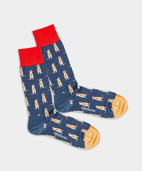 dilly socks Notre chaussettes: Meerkat