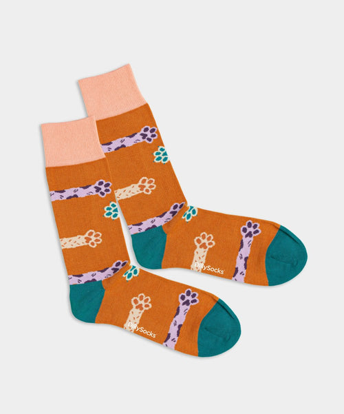 dilly socks Notre chaussettes: Pawsitive
