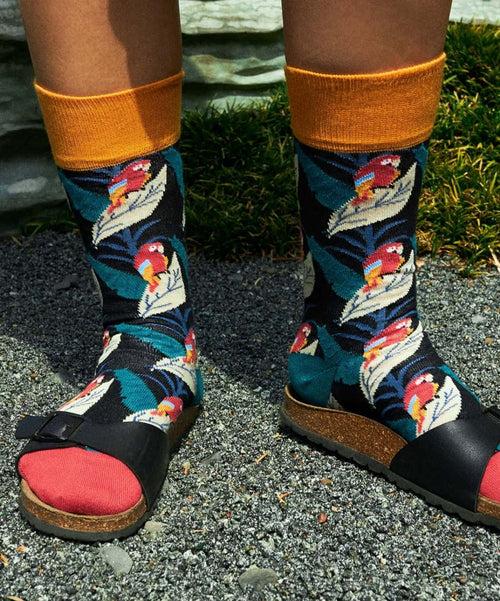 Dilly Socks Notre Chaussettes: Pirate Parrot