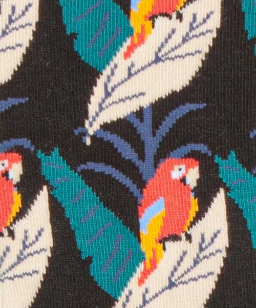 Dilly Socks Notre Chaussettes: Pirate Parrot