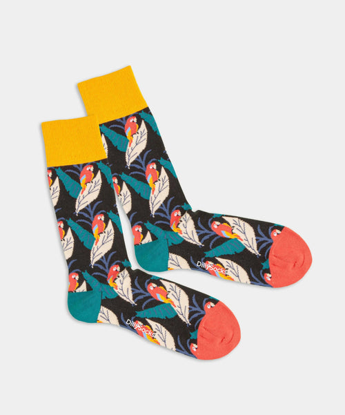 dilly socks Notre chaussettes: Pirate Parrot