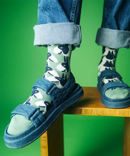 dilly socks Notre chaussettes: Pit Bull