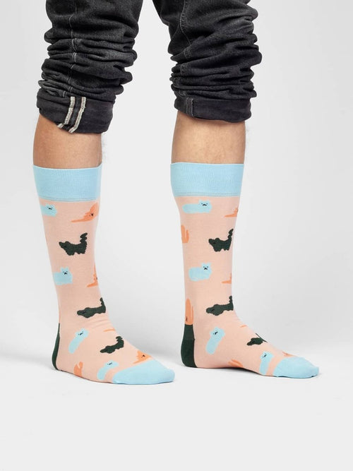 Dilly Socks Notre Chaussettes: Purrrfect