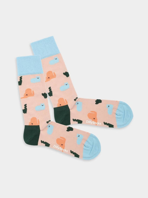 dilly socks Notre Chaussettes: Purrrfect