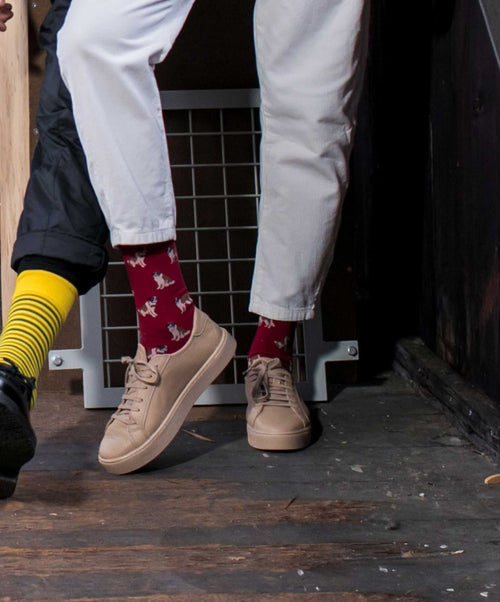 Dilly Socks Notre Chaussettes: Rasp Barry