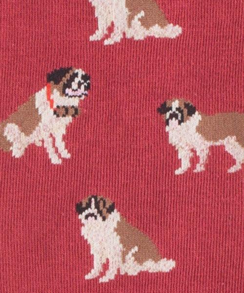 Dilly Socks Notre Chaussettes: Rasp Barry