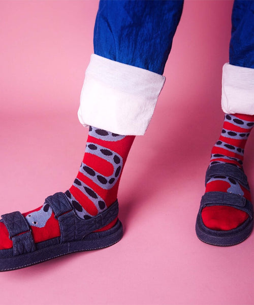Dilly Socks Notre Chaussettes: Rattle Snake