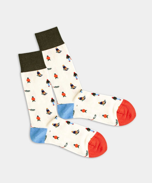 dilly socks Notre chaussettes: Ride The Sled