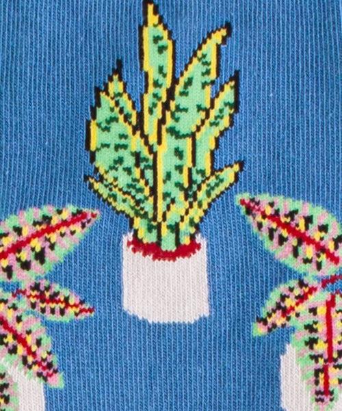 Dilly Socks Notre Chaussettes: Sea Pottery