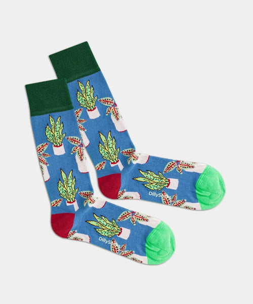 dilly socks Notre chaussettes: Sea Pottery