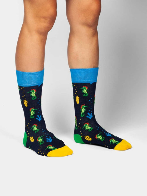 Dilly Socks Notre Chaussettes: Seahorse Story
