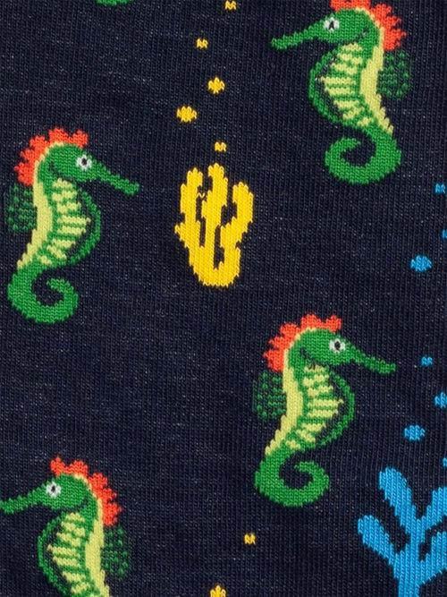 Dilly Socks Notre Chaussettes: Seahorse Story