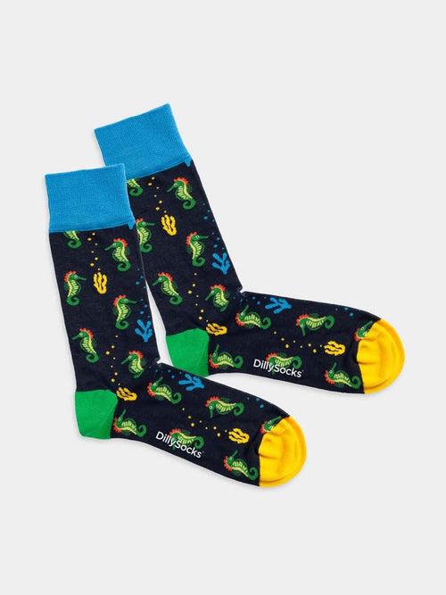 dilly socks Notre Chaussettes: Seahorse Story