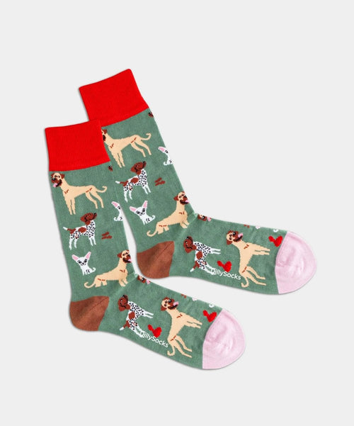 dilly socks Notre chaussettes: Silly Dogs