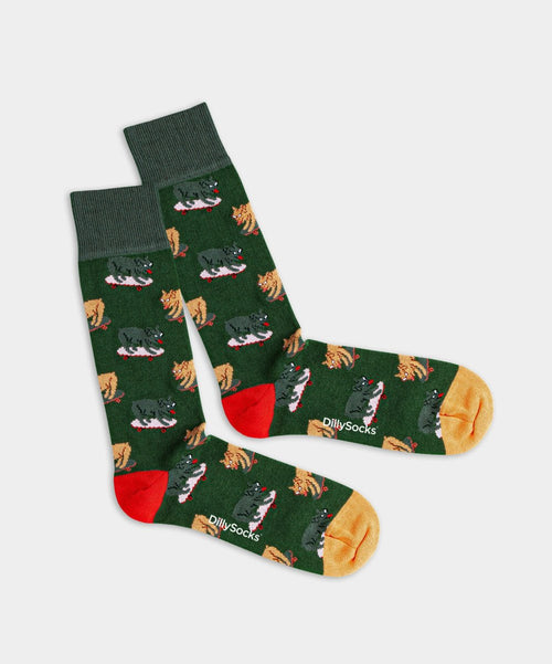 dilly socks Notre chaussettes: Skater Dog